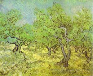 N-V0002-0280-olive-orchard-saint-remy-june