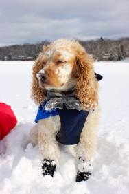 1536710_805298864597_1771376454_n