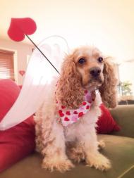 1897025_812911344127_59547043_n