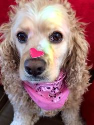 1901283_812911518777_299989374_n