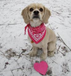 539516_4820543744713_719086884_n