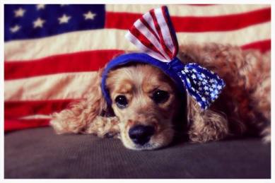 1044348_744784056757_764909587_n