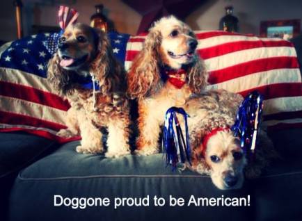 947175_744784001867_949994092_n