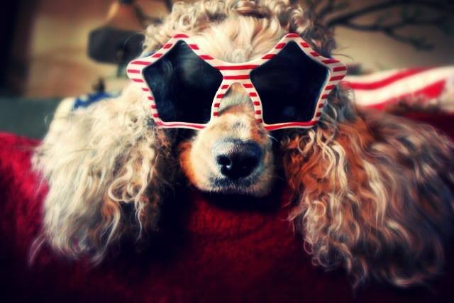 993013_744783991887_1137218866_n